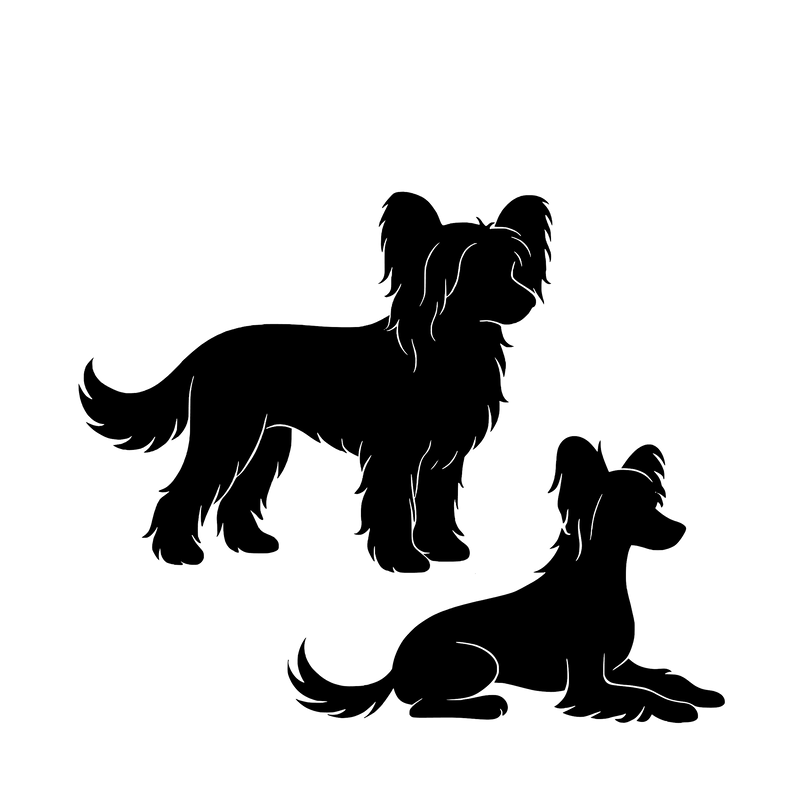 Chinese Crested – Einzelmotiv Aufkleber