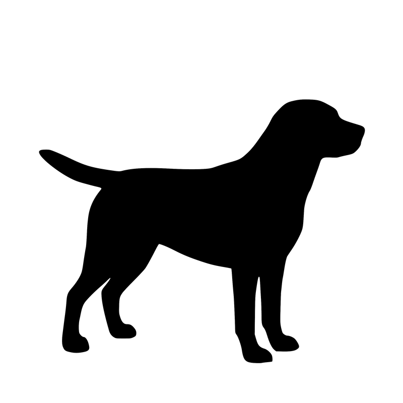Labrador Retriever – Einzelmotiv Aufkleber