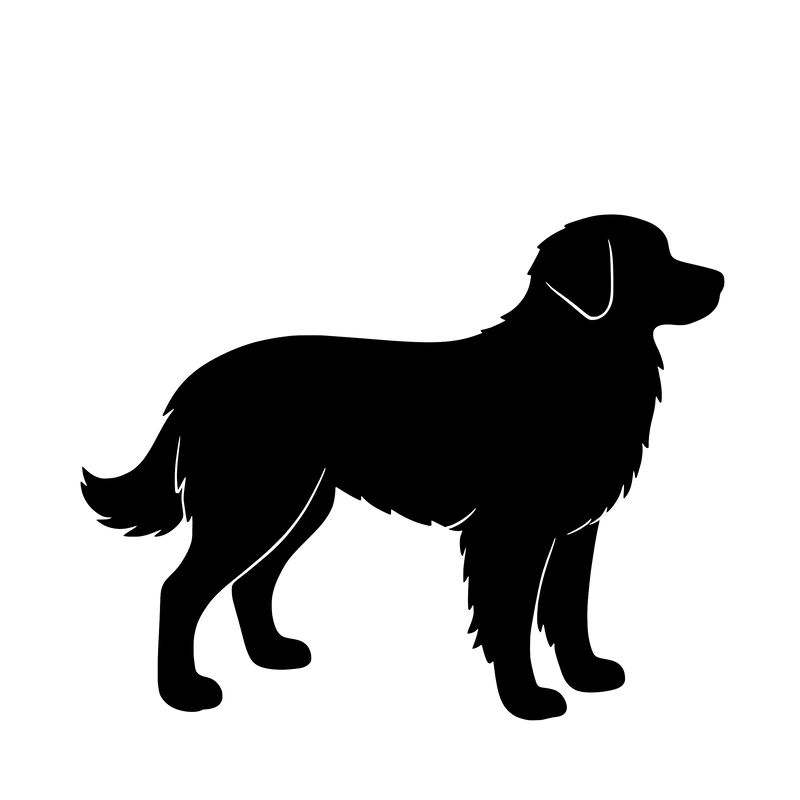 Nova Scotia Duck Tolling Retriever – Einzelmotiv Aufkleber