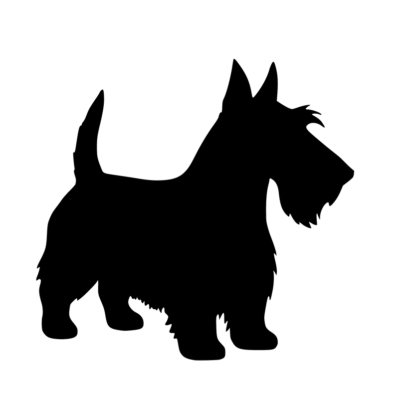 Scottish Terrier – Einzelmotiv Aufkleber