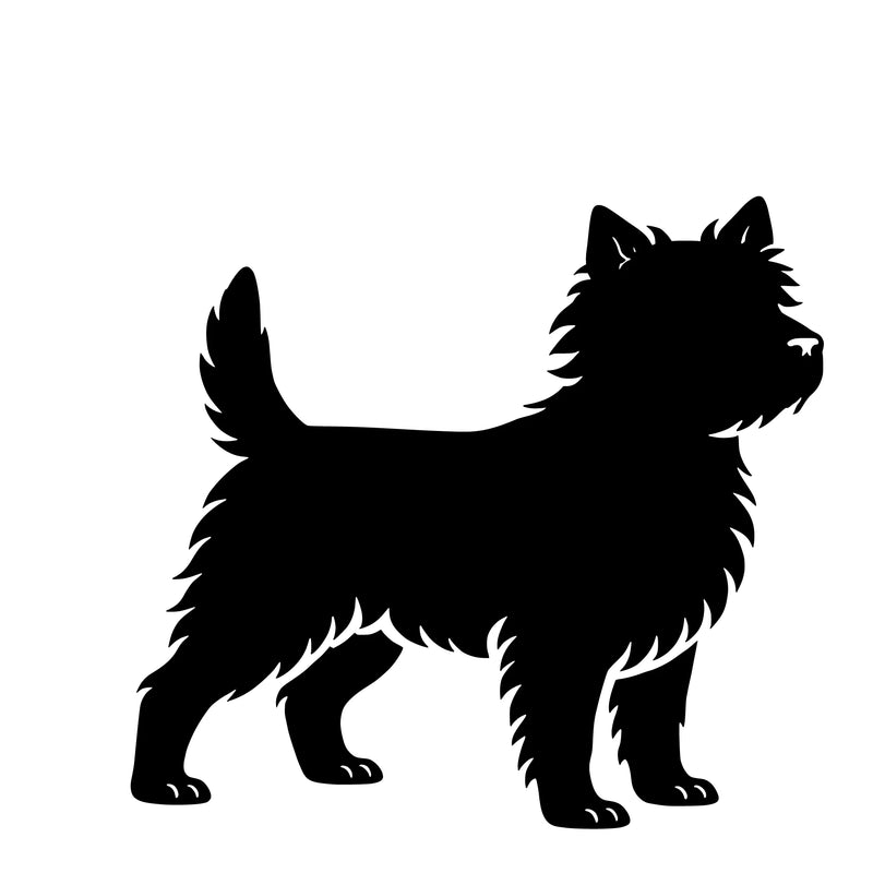Cairn terrier – Einzelmotiv Aufkleberr