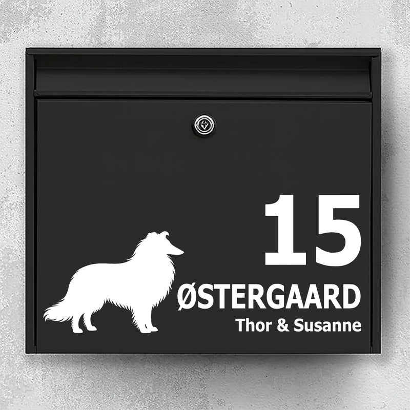 Briefkastenaufkleber mit Langhaar-Collie