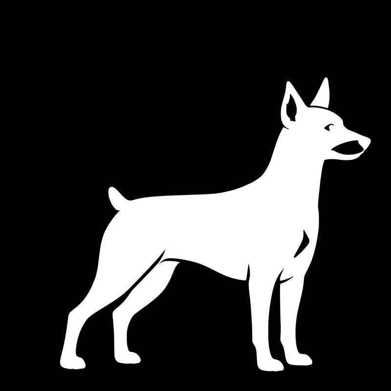 Zwergpinscher – Einzelmotiv Aufkleber