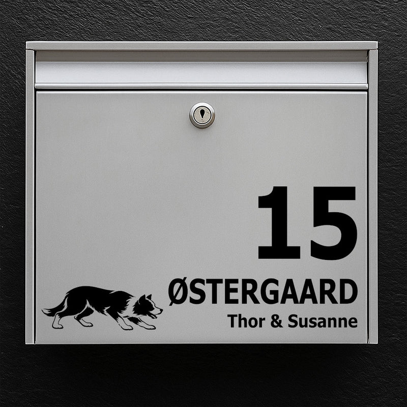 Briefkastenaufkleber mit Kurzhaariger Border Collie (treibend)