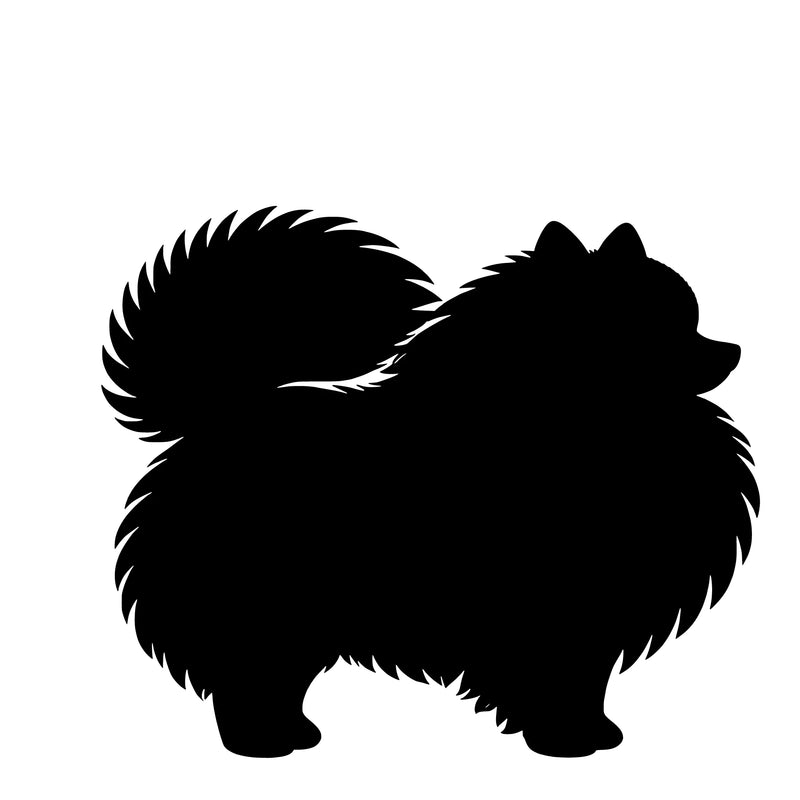 Zwergspitz (Pomeranian) – Einzelmotiv Aufkleber