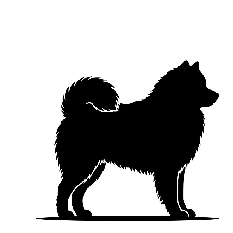 Samojed – Einzelmotiv Aufkleber