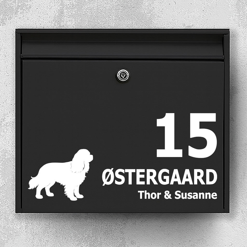 Briefkastenaufkleber mit Cavalier King Charles Spaniel – Personalisiertes Namensschild und Hausnummer – Wetterfestes Vinyl