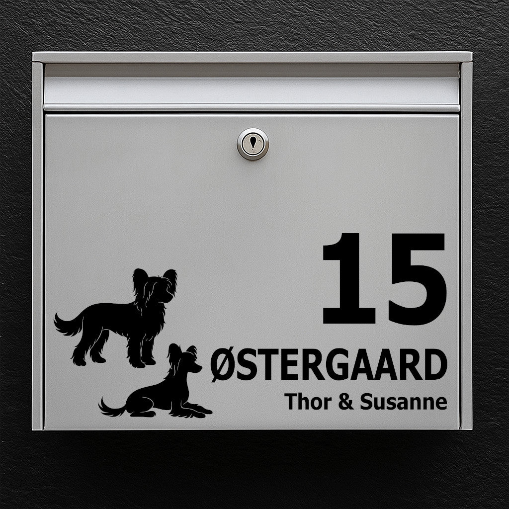 Briefkastenaufkleber mit chinesischem Wappenmotiv – personalisiertes Namens-/Hausnummernschild aus wetterfestem Vinyl