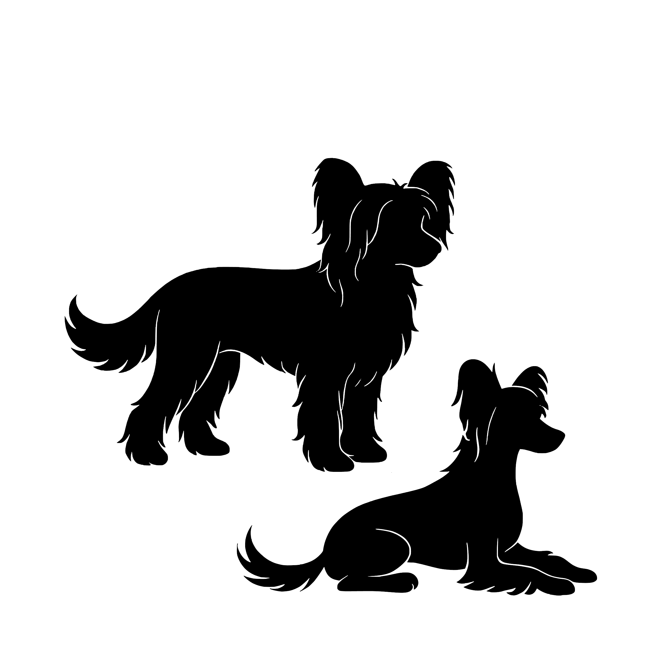 Chinese Crested – Einzelmotiv Aufkleber