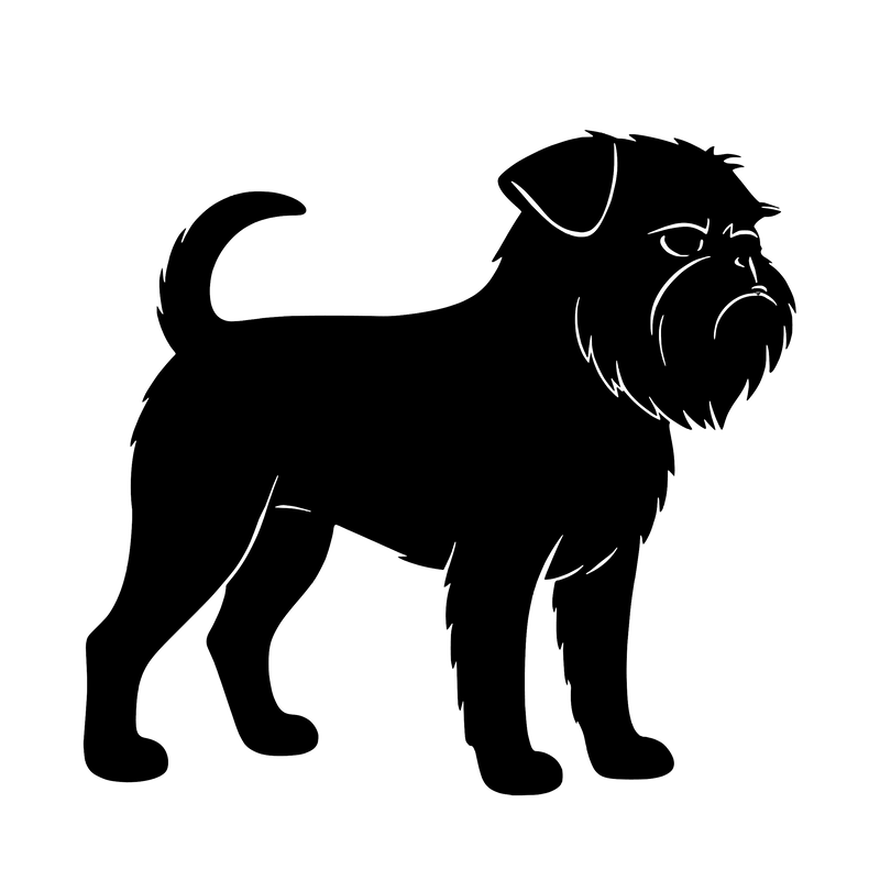 Griffon Bruxellois – Einzelmotiv Aufkleber