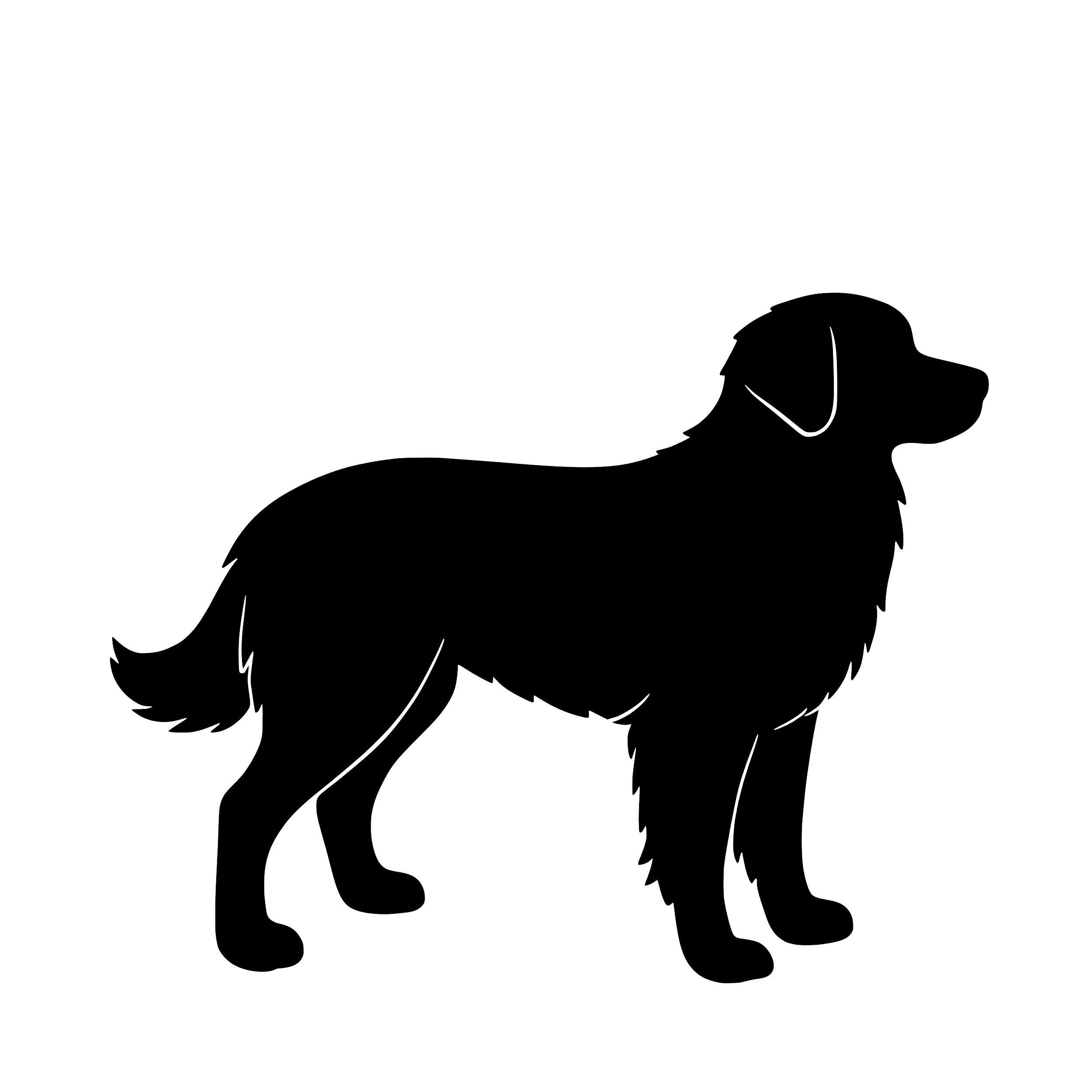 Nova Scotia Duck Tolling Retriever – Einzelmotiv Aufkleber