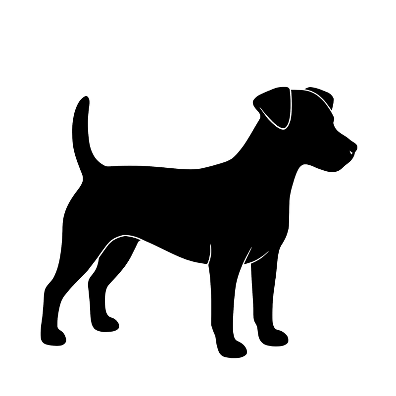 Russell Terrier – Einzelmotiv Aufkleber