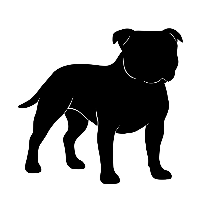 Staffordshire Bullterrier – Einzelmotiv Aufkleber