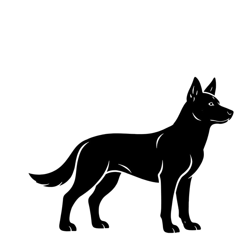 Australian Kelpie – Einzelmotiv Aufkleber