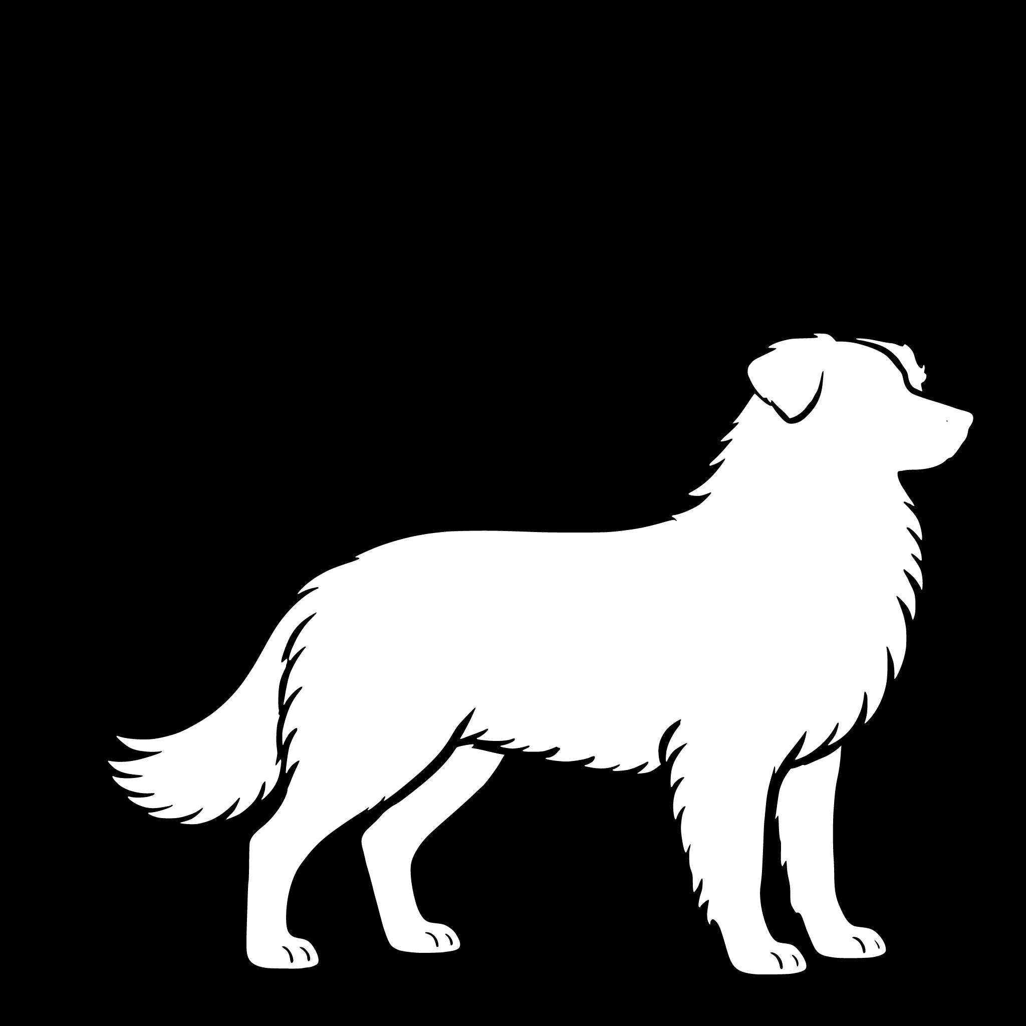 Australian Shepherd – Einzelmotiv Aufkleber