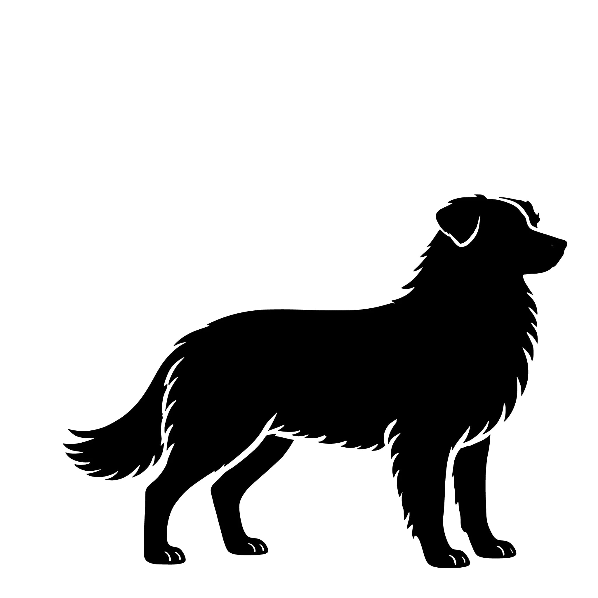 Australian Shepherd – Einzelmotiv Aufkleber