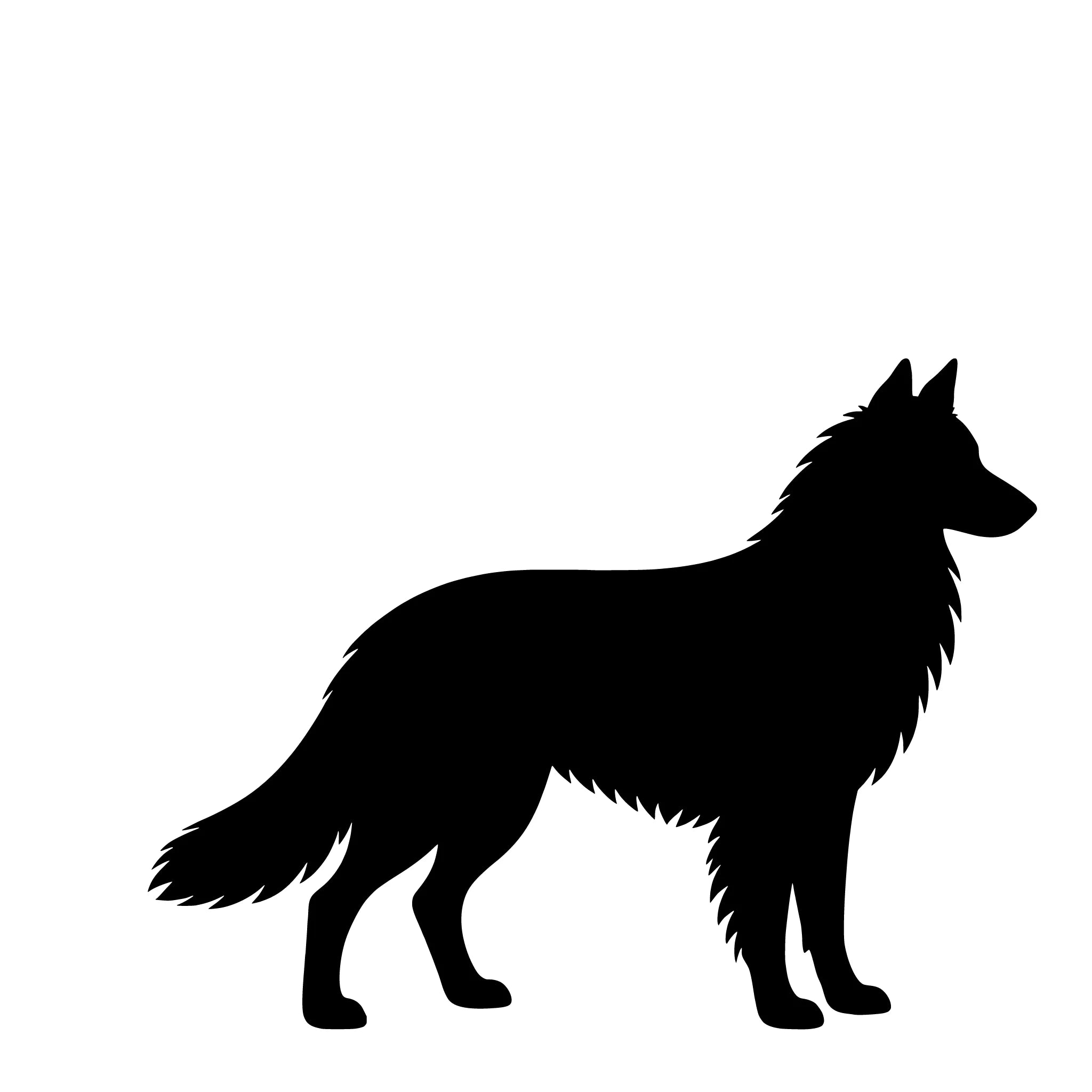 Belgischer Schäferhund (Tervueren) – Einzelmotiv Aufkleber