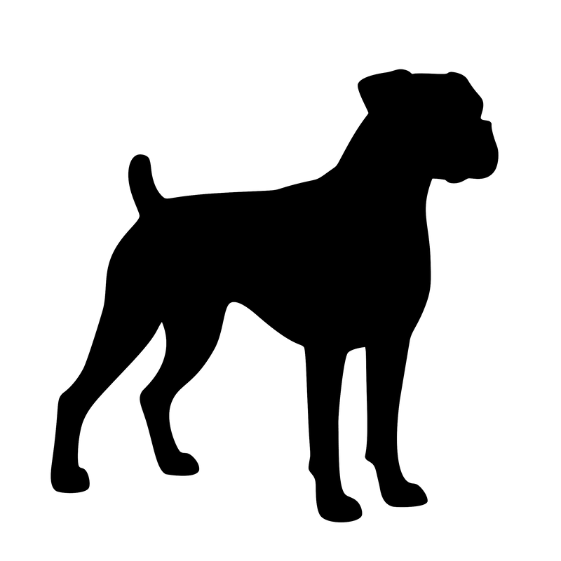 Boxer – Einzelmotiv Aufkleber