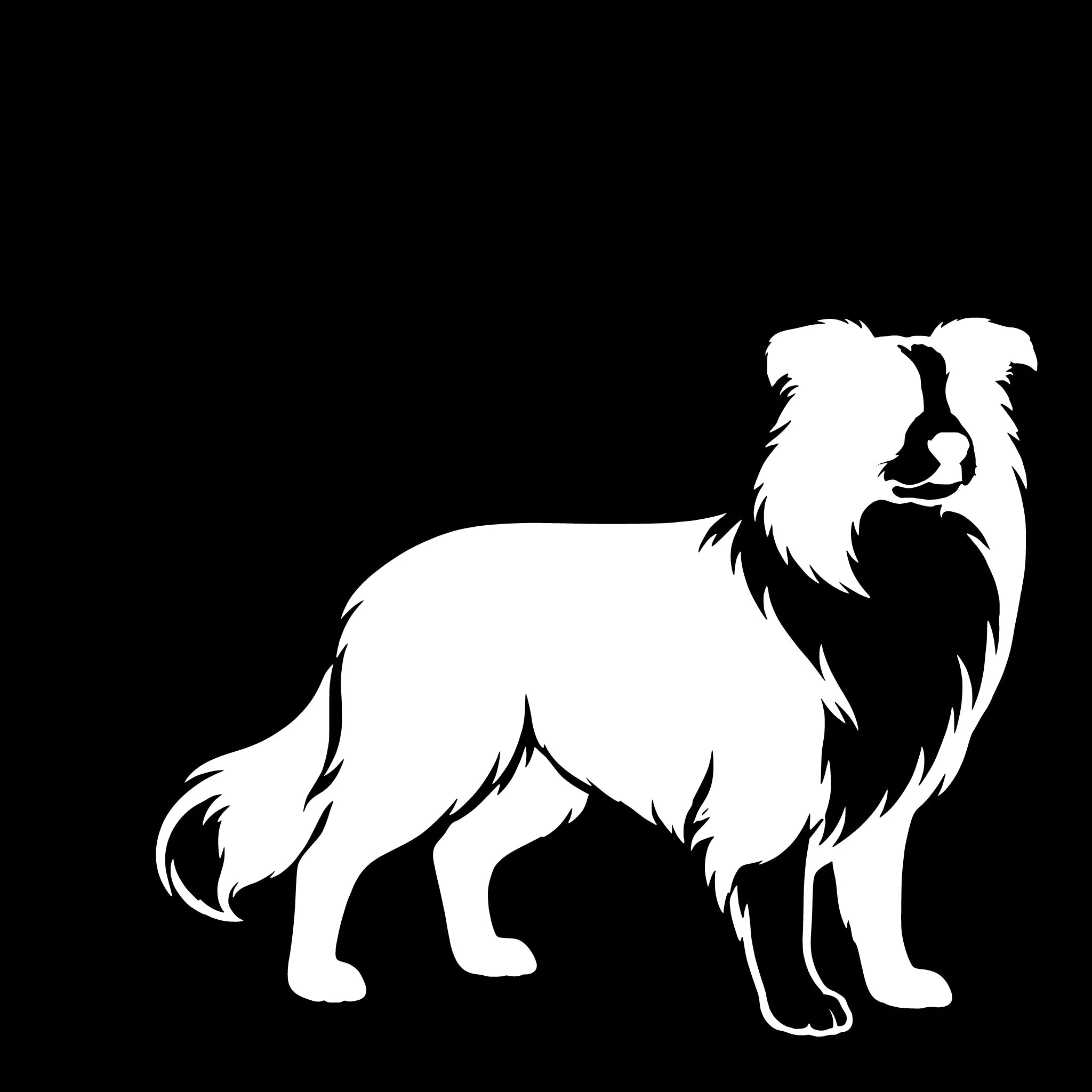  Border Collie – Einzelmotiv Aufkleber