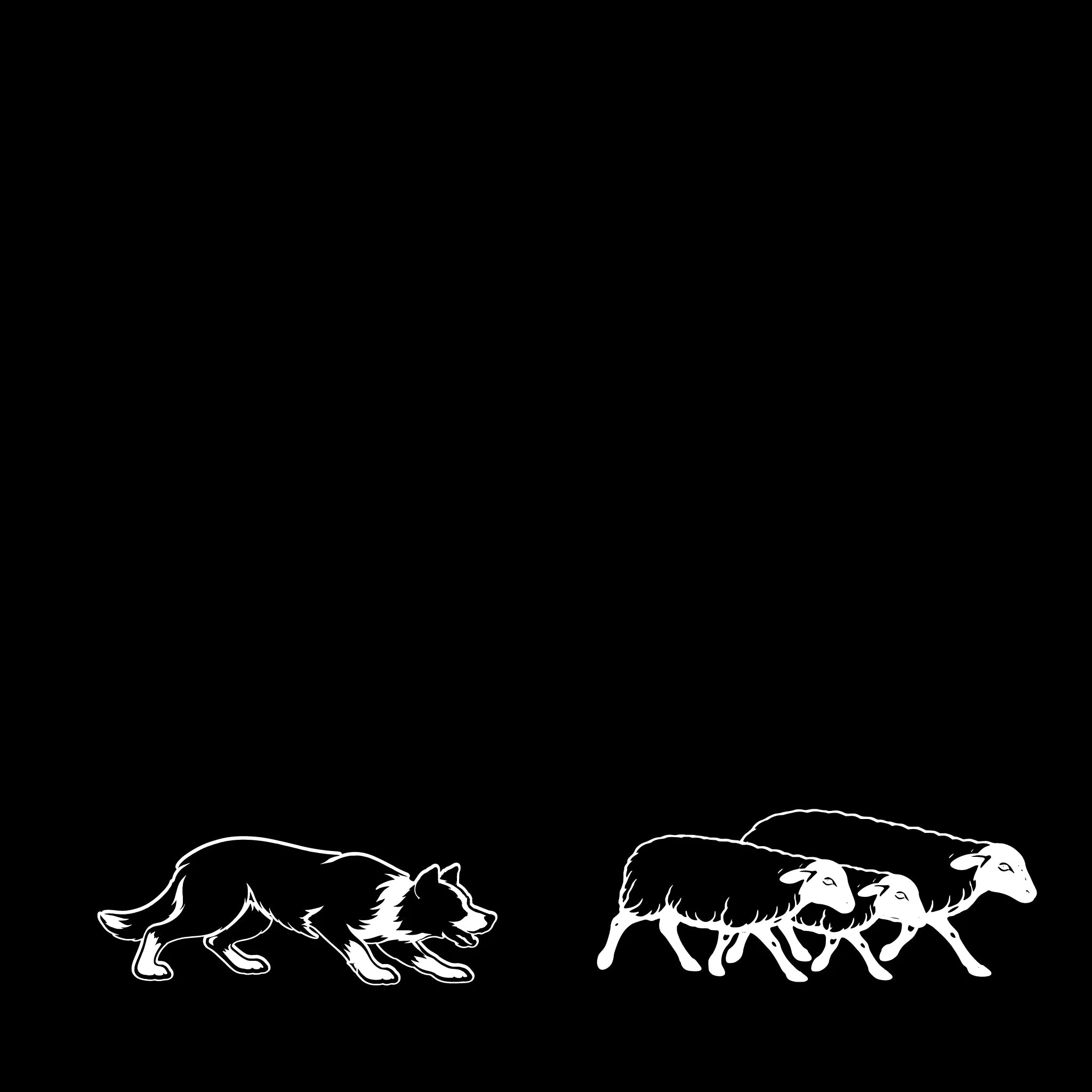 Border Collie bei der Schafarbeit – Einzelmotiv Aufkleberr