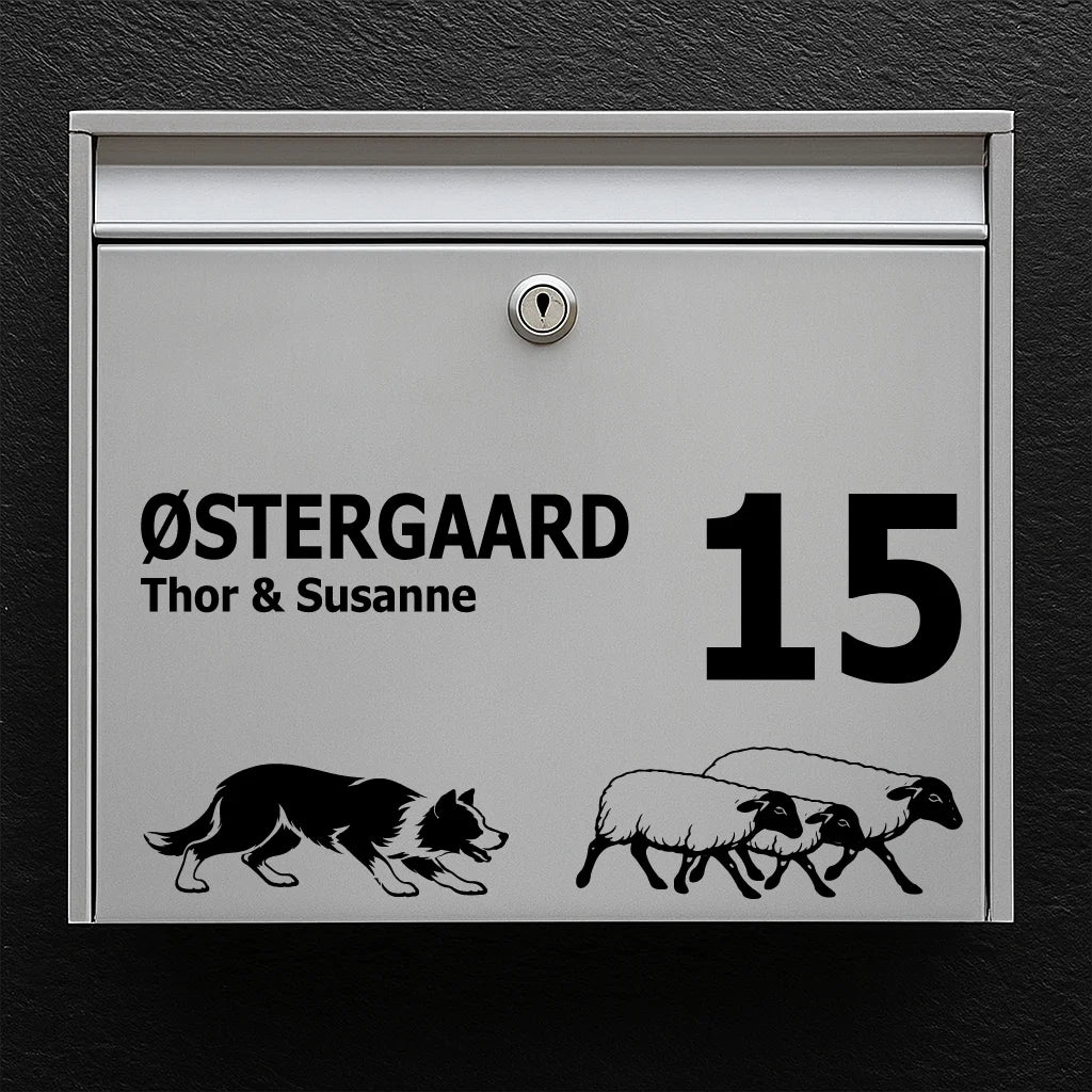 Briefkastenaufkleber mit Border Collie mit Schafen
