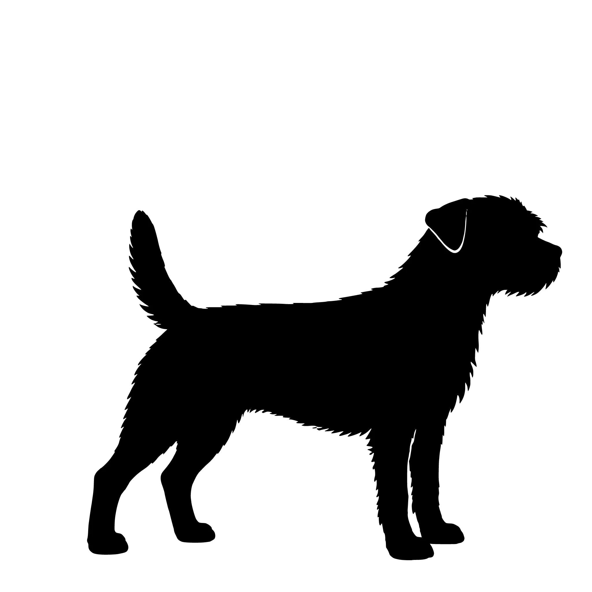 Border Terrier– Einzelmotiv Aufkleber