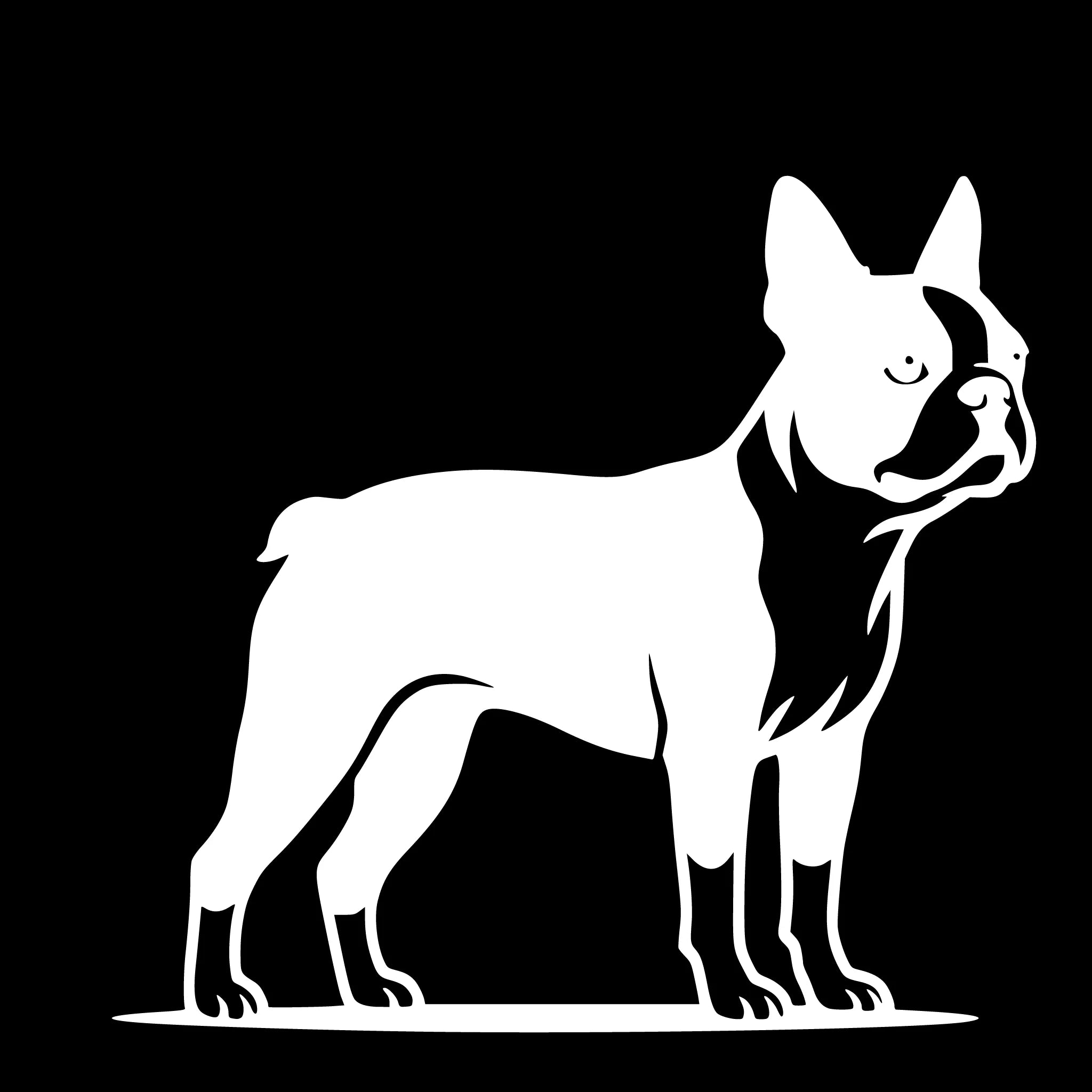 Boston Terrier – Einzelmotiv Aufkleber