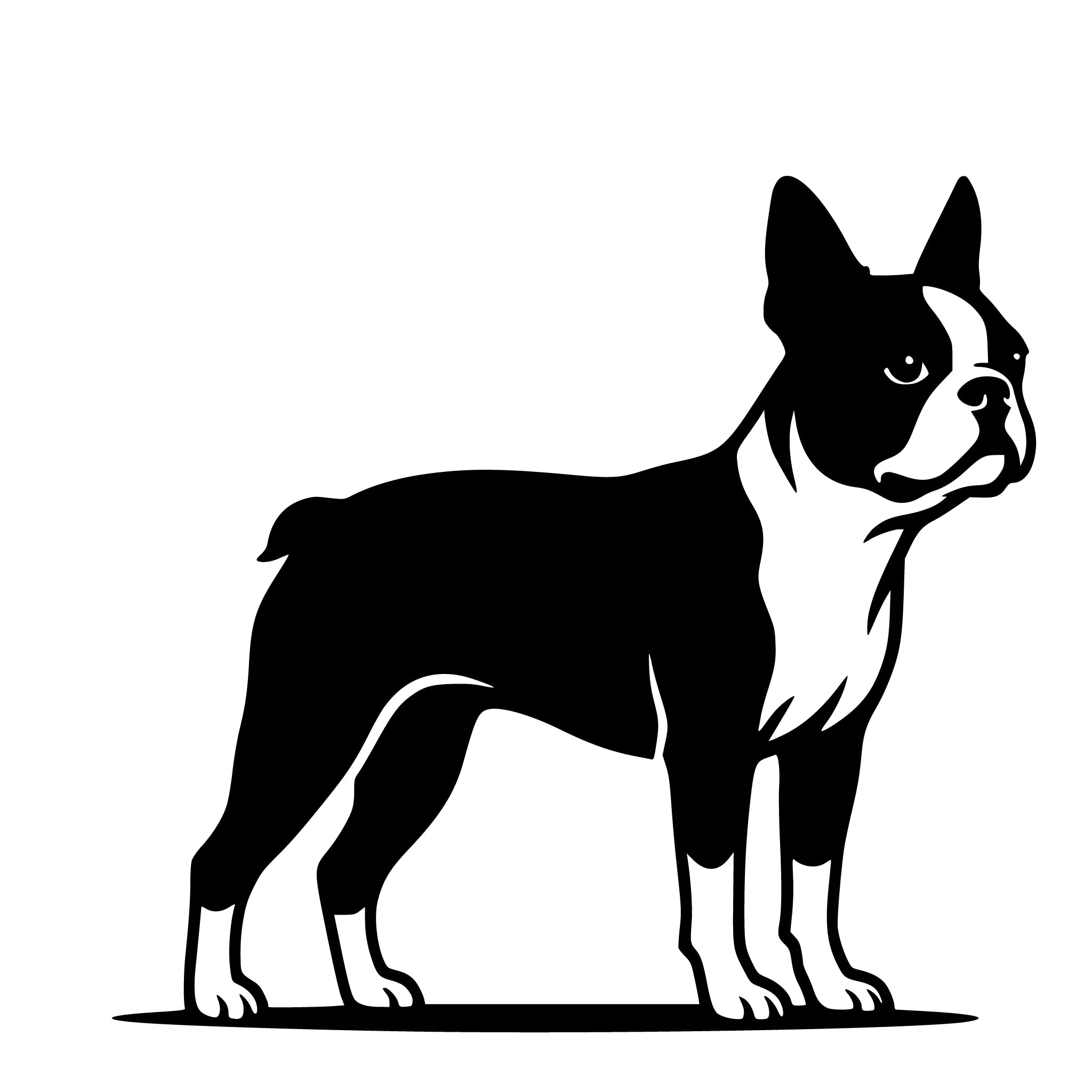 Boston Terrier – Einzelmotiv Aufkleber