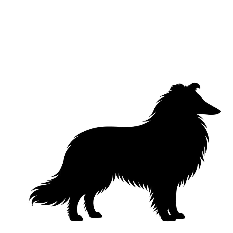 Langhaar Collie – Einzelmotiv Aufkleber