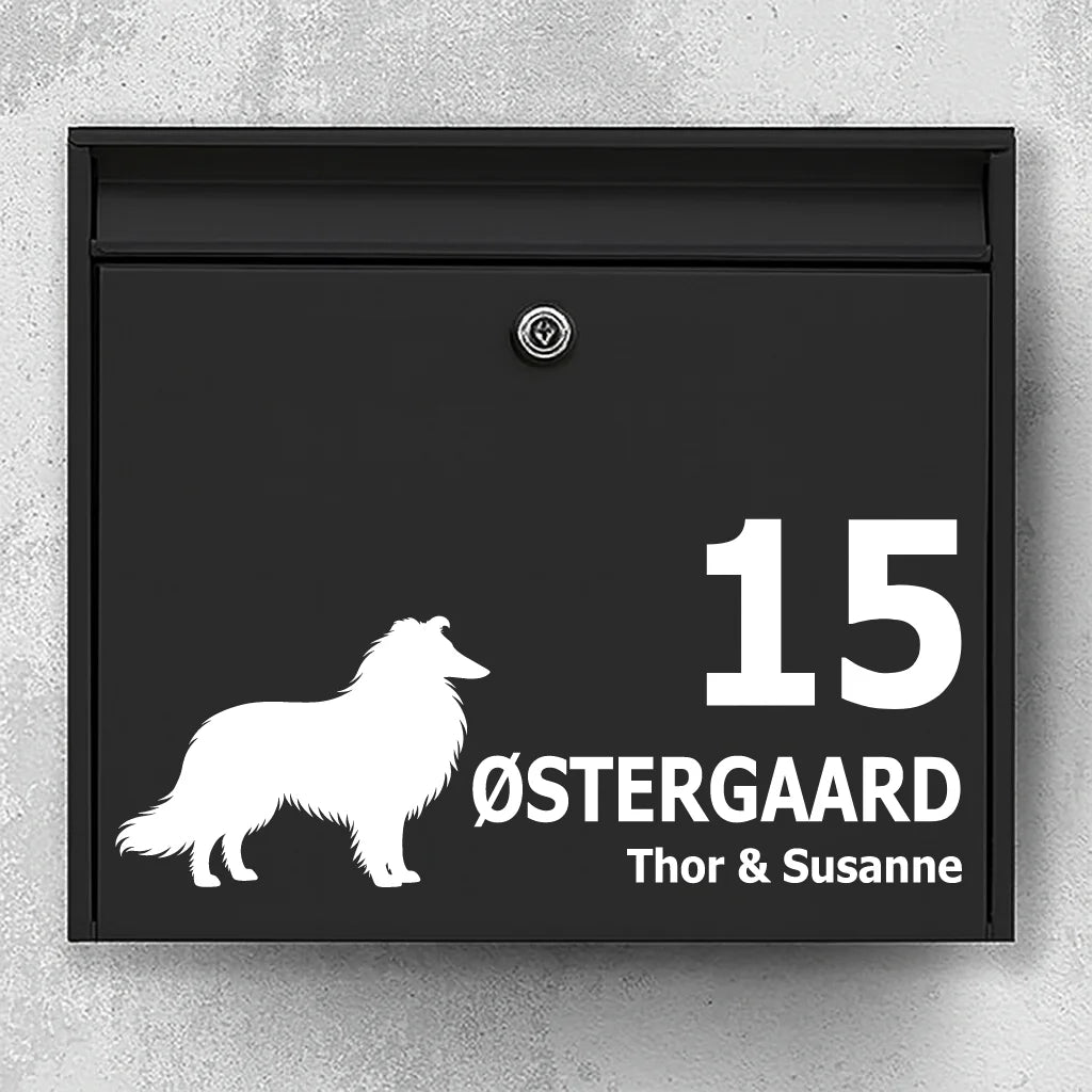 Briefkastenaufkleber mit Langhaar-Collie