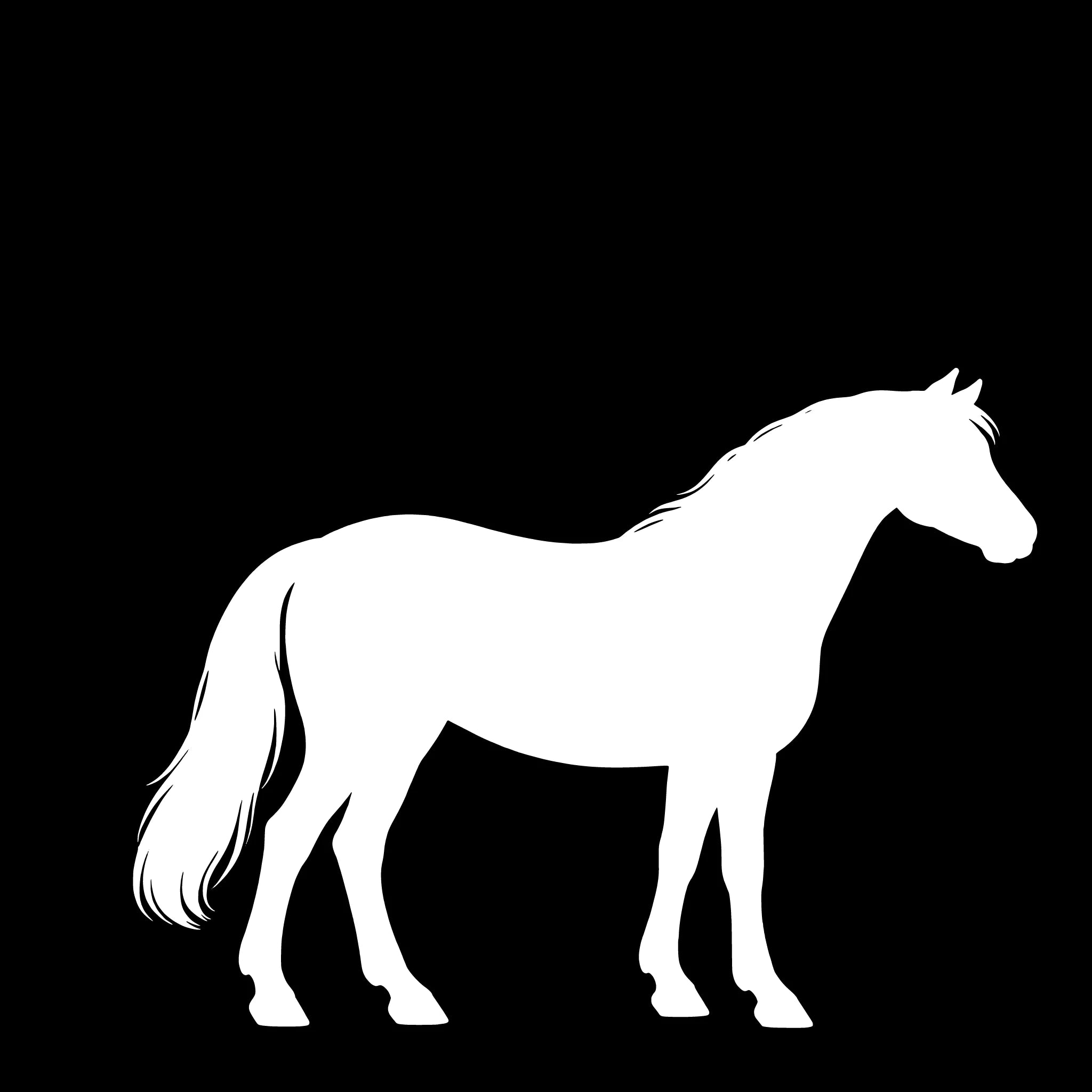 Connemara Pony– Einzelmotiv Aufkleber
