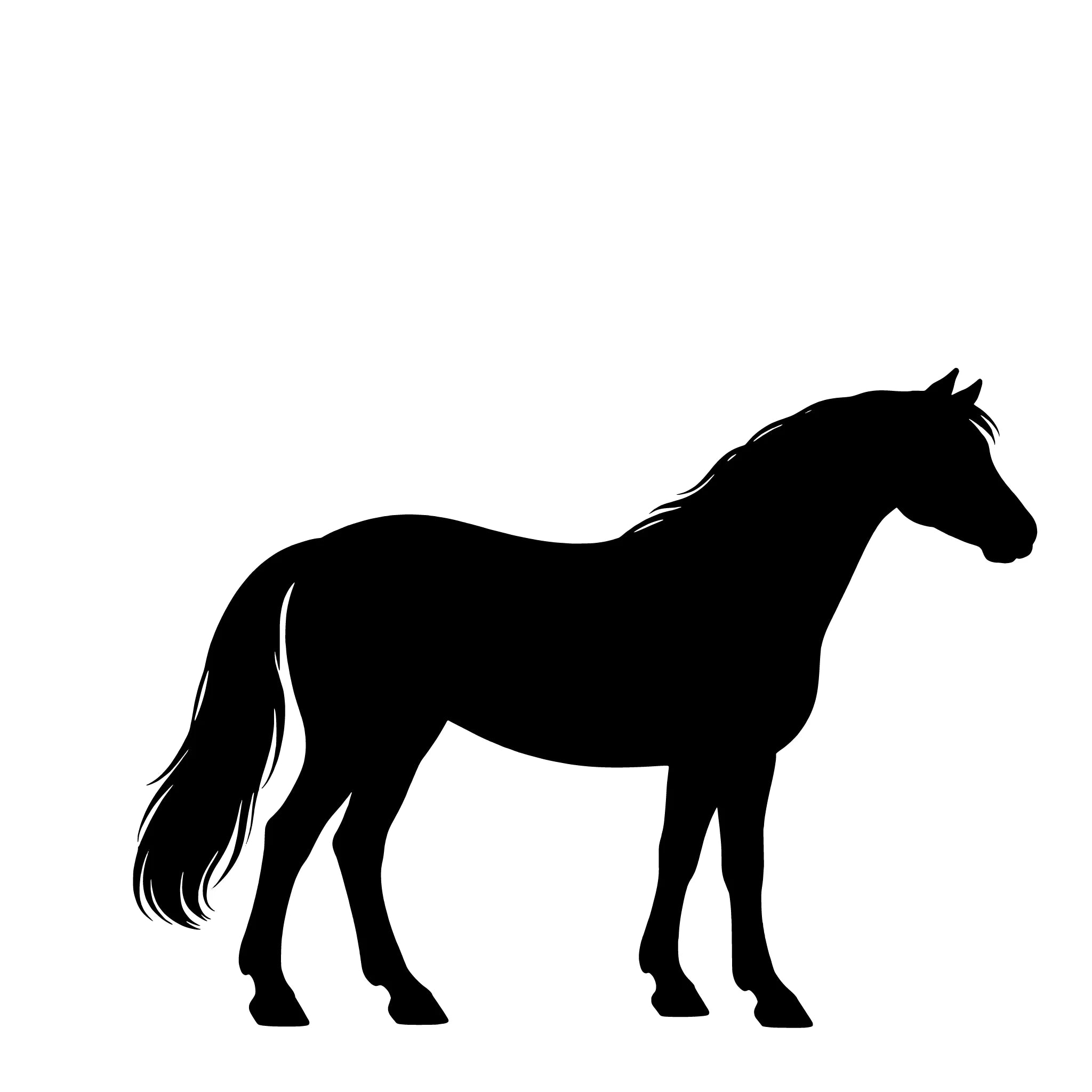 Connemara Pony– Einzelmotiv Aufkleber