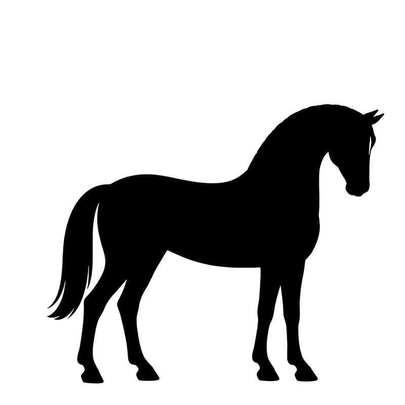 Dänisches Sportpony – Einzelmotiv Aufkleber