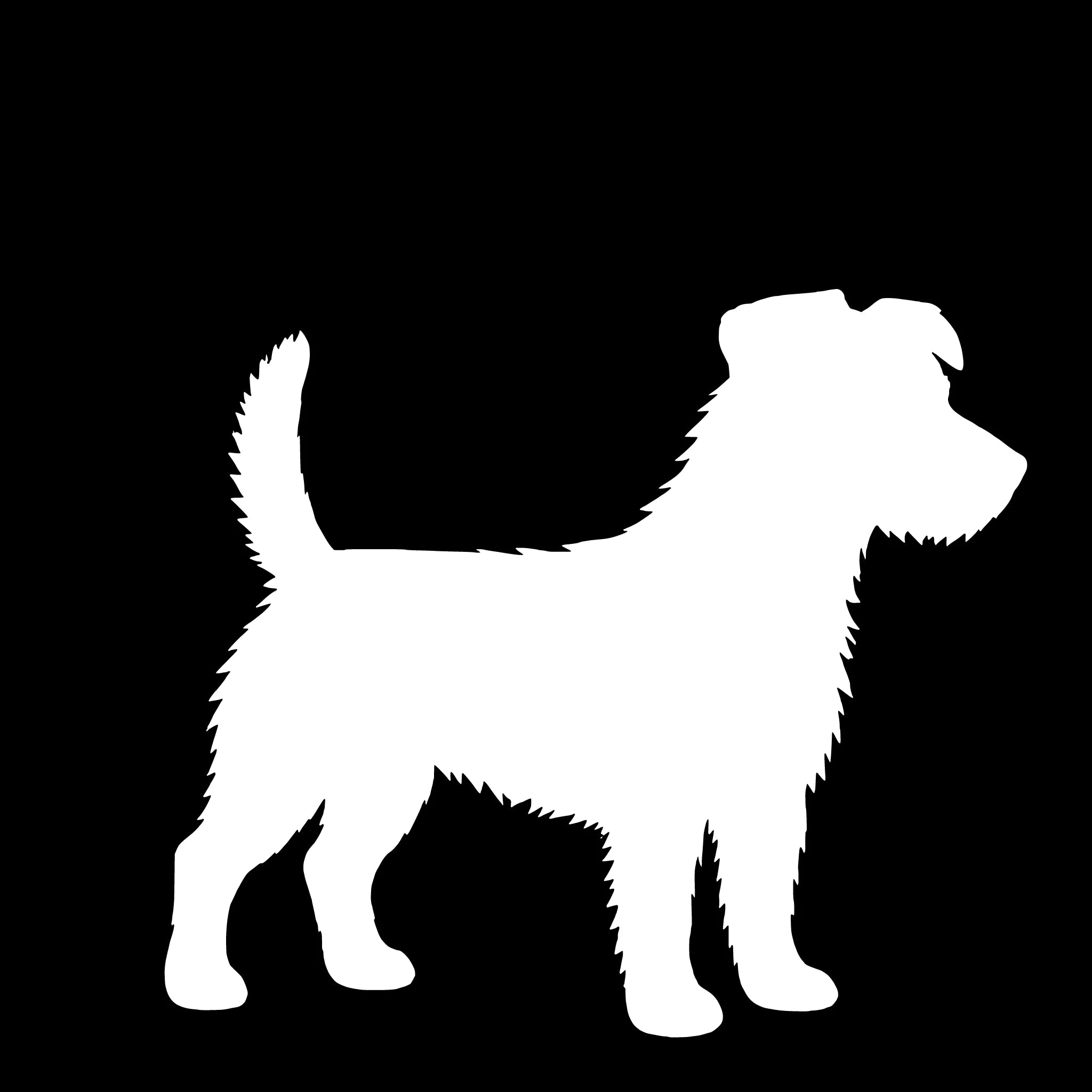 Jack Russell Terrier (rauhaar) – Einzelmotiv Aufkleber