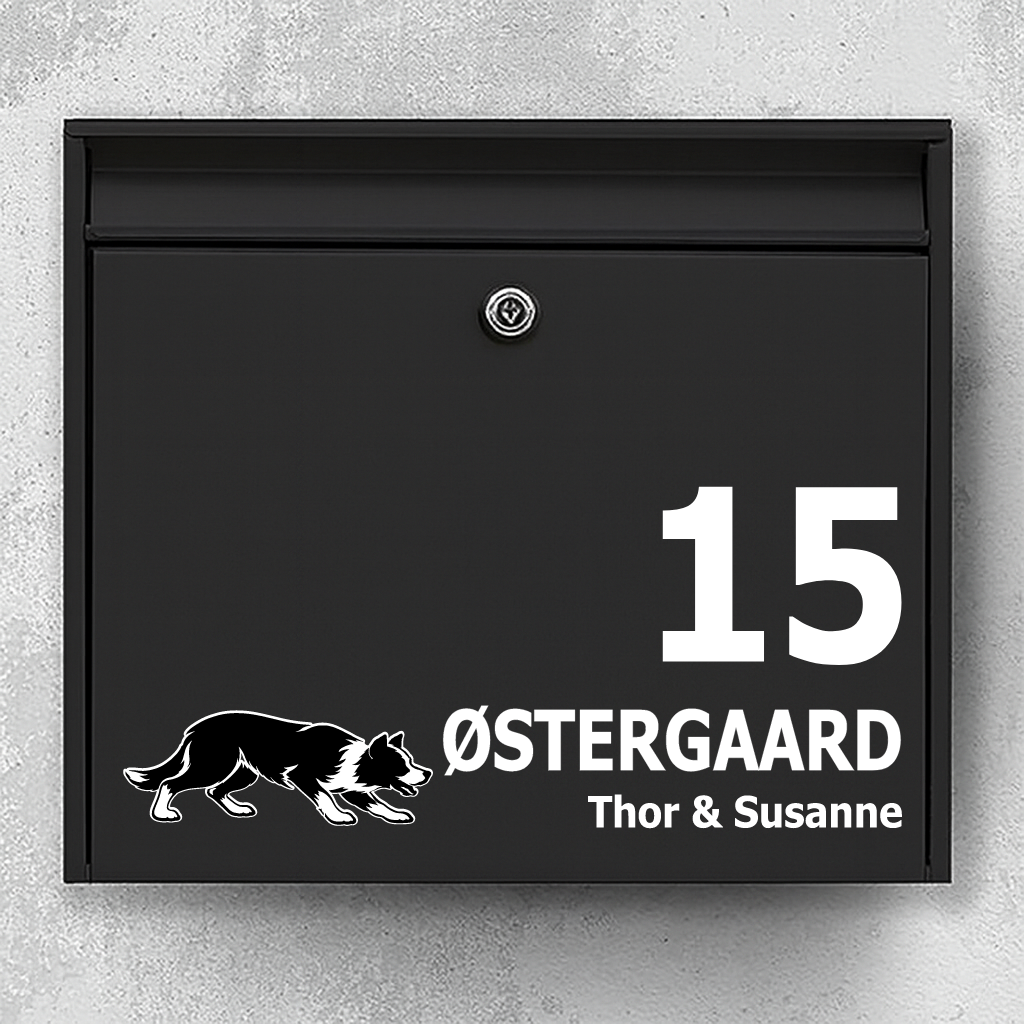 Briefkastenaufkleber mit Kurzhaariger Border Collie (treibend)