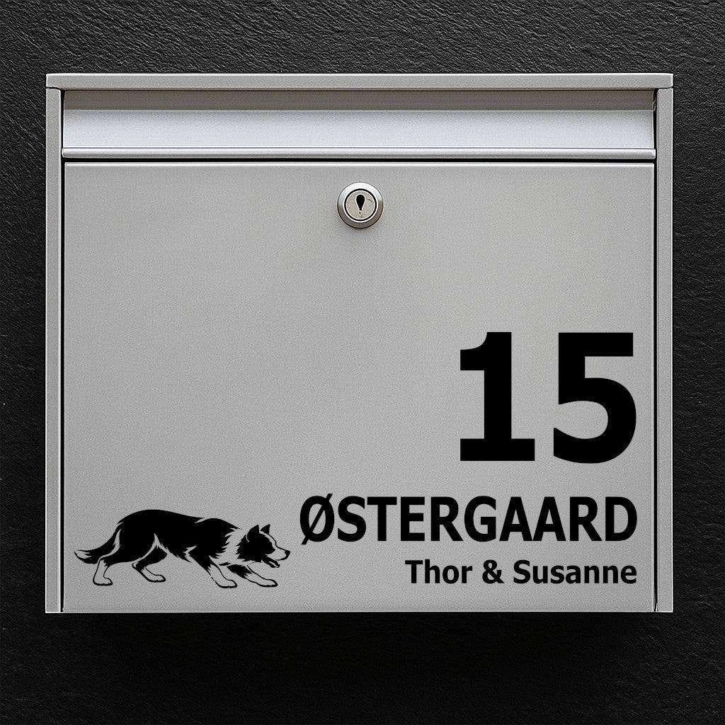 Briefkastenaufkleber mit Kurzhaariger Border Collie (treibend)