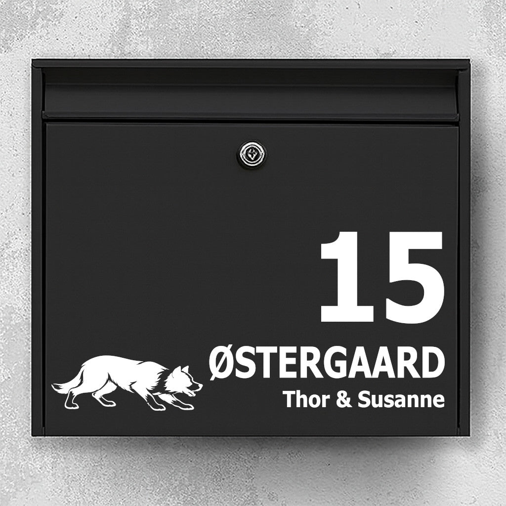 Briefkastenaufkleber mit Kurzhaariger Border Collie (treibend)