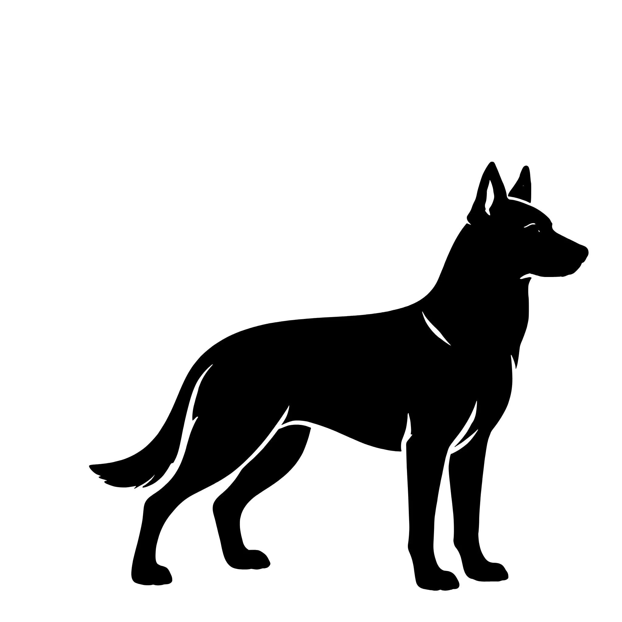 Malinois– Einzelmotiv Aufkleber