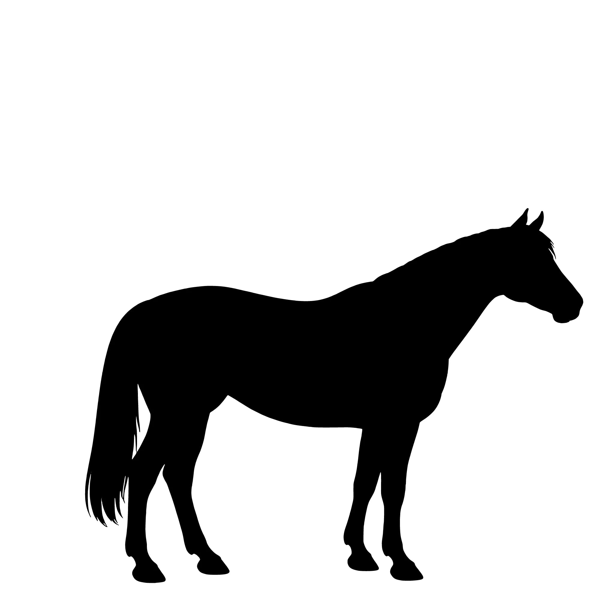 Pinto – Einzelmotiv Aufkleber