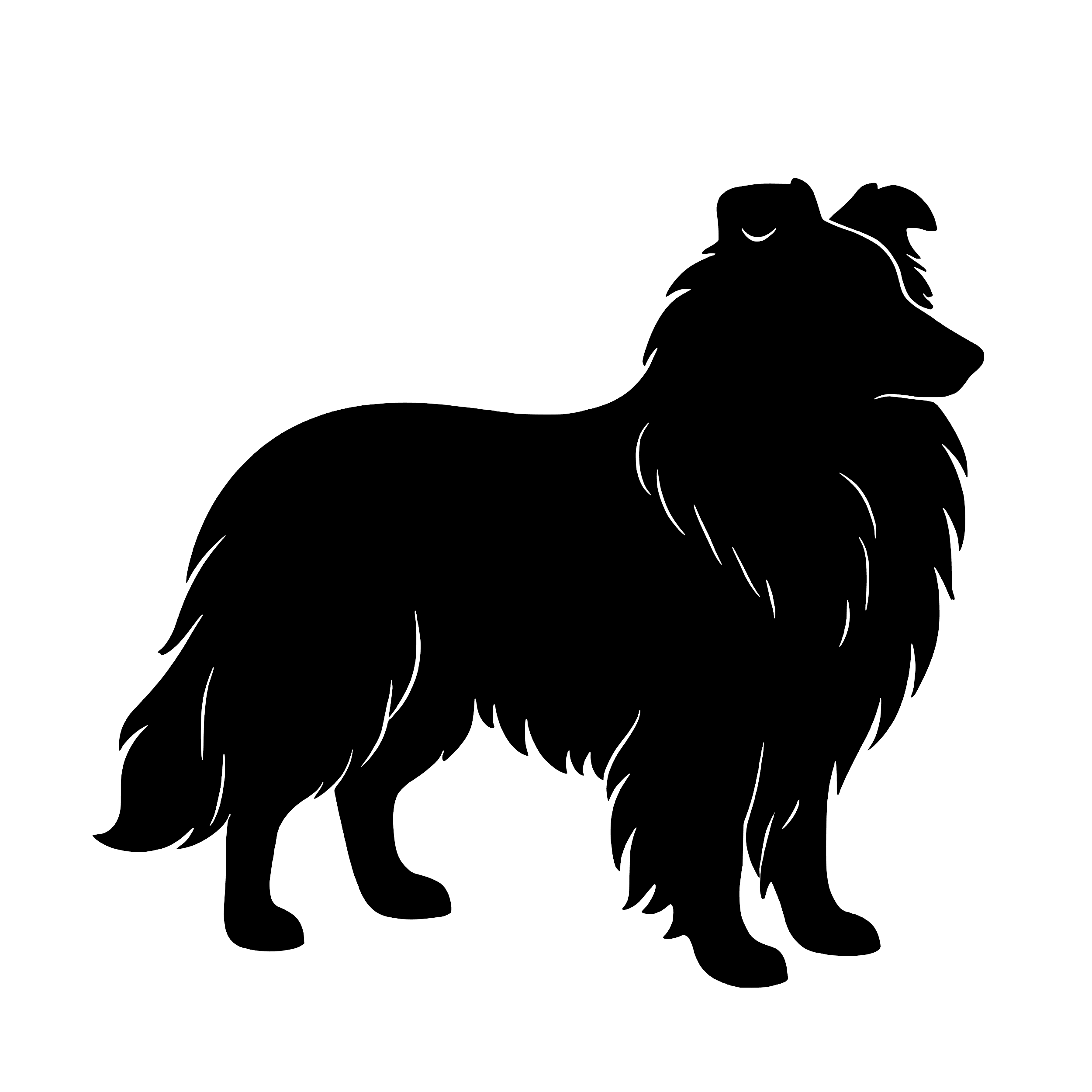 Shetland Sheepdog – Einzelmotiv Aufkleber