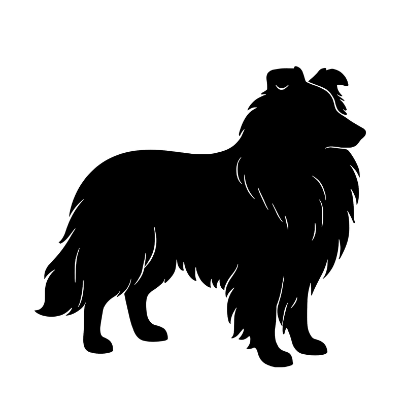 Shetland Sheepdog – Einzelmotiv Aufkleber