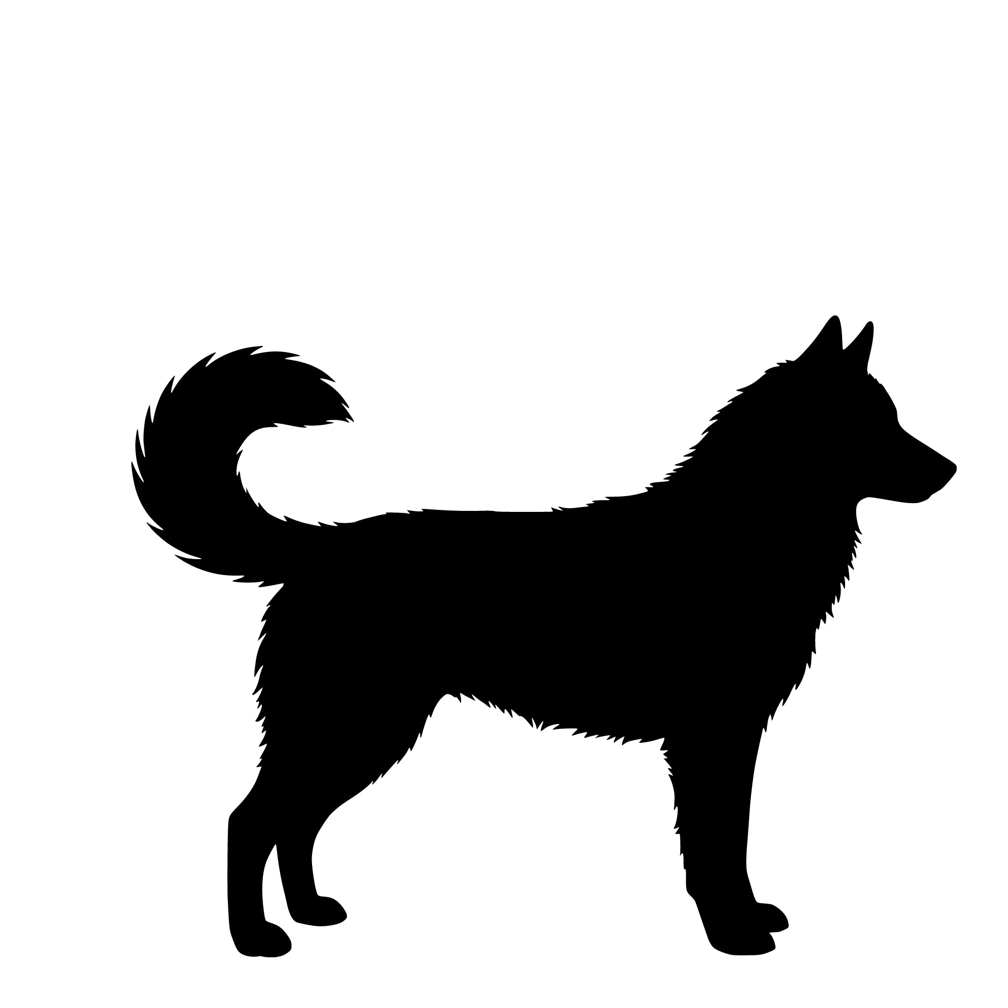 Siberian Husky – Einzelmotiv Aufkleber