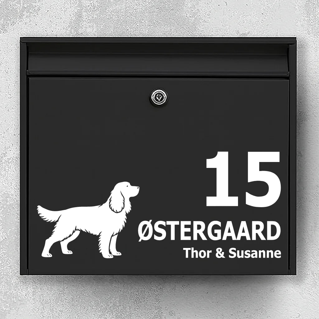 Briefkastenaufkleber mit Springer spaniel
